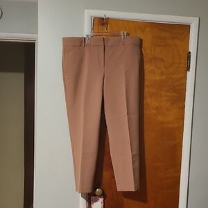 Ann Taylor Devin Fit Pants in Pink